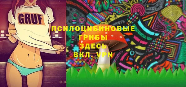 apvp Белокуриха