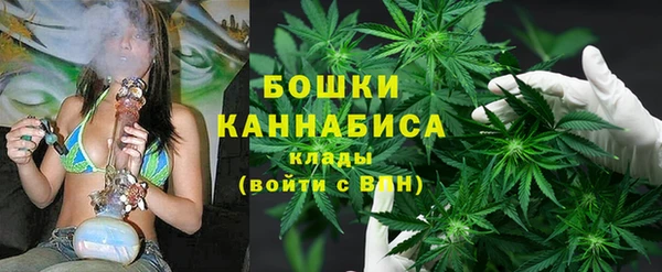 apvp Белокуриха