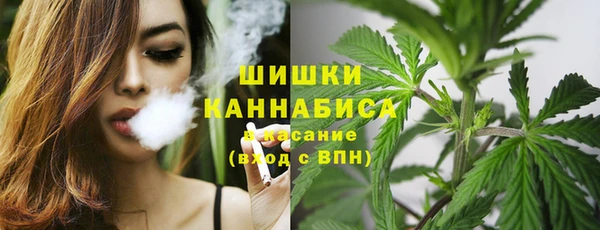 apvp Белокуриха