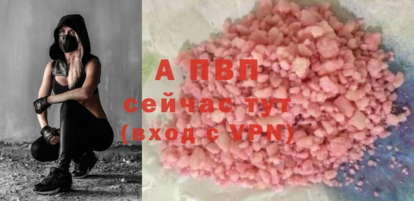 apvp Белокуриха